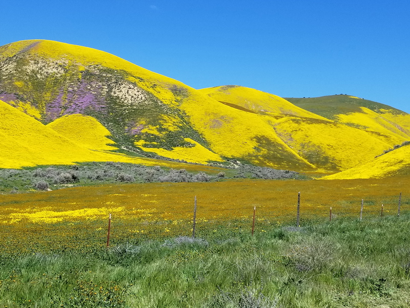 Carrizo National Monument 20190402_113818.jpg